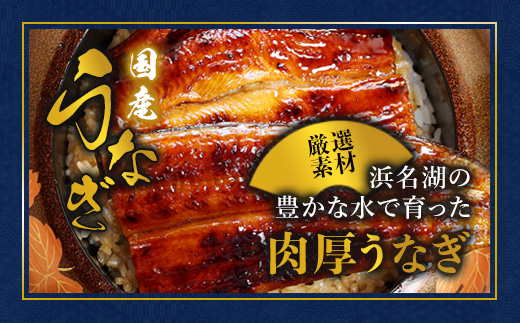 浜名湖産 うなぎ蒲焼き 特製タレ付き 3尾 | うなぎ 蒲焼き 国産 浜名湖産 ギフト プレゼント 贈答用 冷凍 土用の丑の日 うな丼 特製タレ 職人手焼き 関東風 うなぎの蒲焼 鰻京都 舞鶴