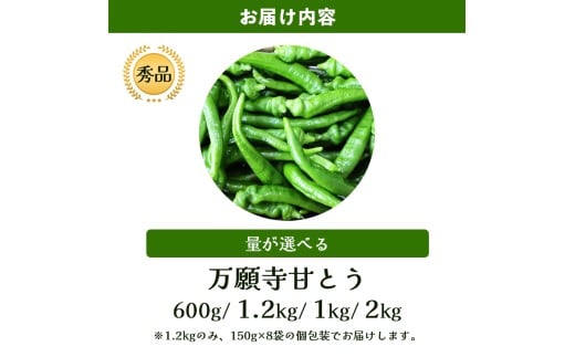 ã2026幎å€çºéåãäžé¡å¯ºçãšã åç²§ç®±å
¥ ç§å 1.2kg 1kg 2kg éžã¹ã容é éè å€éè æ¬ å°å Žç£ å°å Žéè å°å
éè çºç¥¥ äŒçµ± 京éè äŒçµ±éè äžé¡å¯ºãšãããã