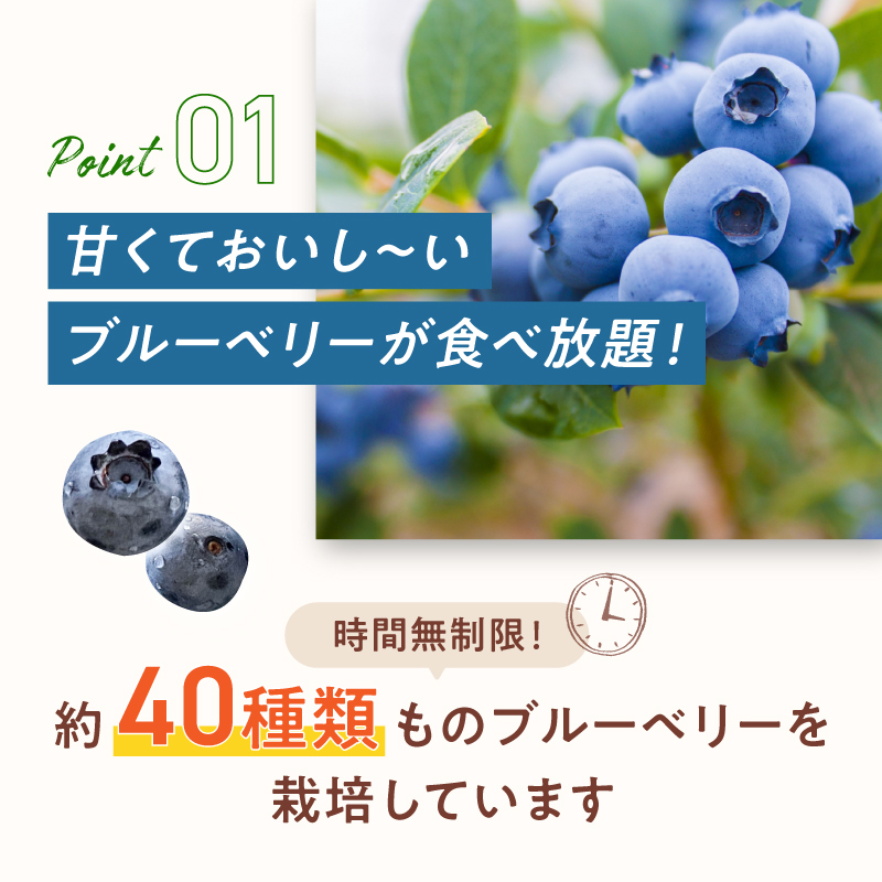 【6月〜8月】 ブルーベリー狩り ペアチケット 【時間無制限・食べ放題】 | ブルーベリー 果物 フルーツ狩り 中学生以上 摘み取り 体験 チケット ペア 時間 無制限 食べ 放題 関西 京都 舞鶴