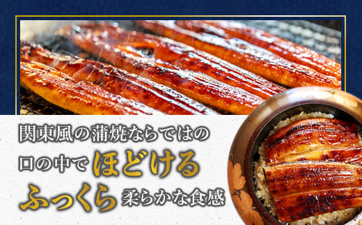 浜名湖産 うなぎ蒲焼き 特製タレ付き 1尾 | うなぎ 蒲焼き 国産 浜名湖産 ギフト プレゼント 贈答用 冷凍 土用の丑の日 うな丼 特製タレ 職人手焼き 関東風 うなぎの蒲焼 鰻京都 舞鶴