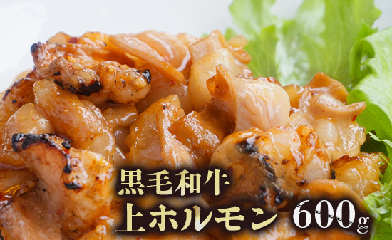 黒毛和牛 ホルモン 600g