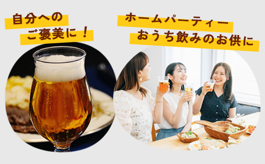 舞鶴ＣＲＡＦＴ クラフトビール 330ml×6本セット 飲み比べ 舞鶴赤れんがパーク醸造 | 飲み比べ 地ビール ビール お酒 地域限定 家飲み 宅飲み IPA ペールエール お中元 お歳暮 瓶ビール 詰め合わせ 晩酌 2種 Beer 醸造所 ご当地ビール 贈答 ふるさと納税 京都府 舞鶴市 ビー