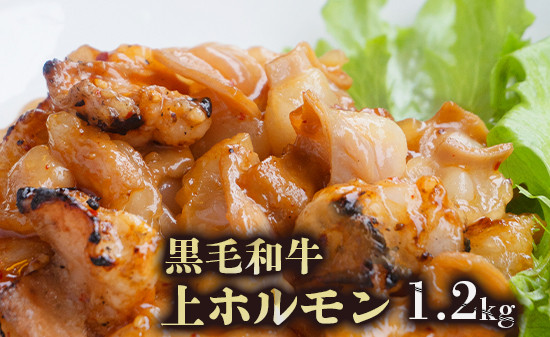 黒毛和牛 ホルモン 1.2kg