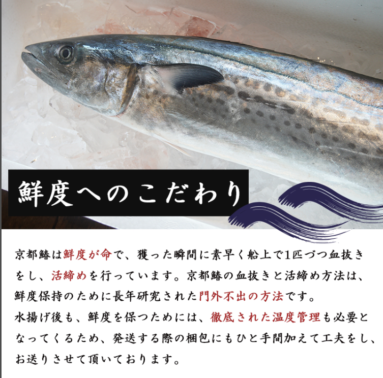 ã11æã3æçºéã æŒåž«çŽéïŒïŒ äžæ¬é£ã 京éœé° 2.8kg ä»¥äž é®®é 1å°Ÿ å€©ç¶ æ°é®® 鮮床æçŸ€ å·èµ ããã¢ã å¯ããã æŽ»ç· ã