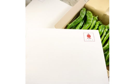 【2026年夏発送】京野菜 「万願寺とうがらし」 からくない！肉厚甘い 逸品 箱入り 2kg 4人以上用 伝統野菜 とうがらし 万願寺 ピーマン 大型 野菜 夏野菜 農家直送 揚げ物 炒め物 煮物 レシピ付き京都 舞鶴