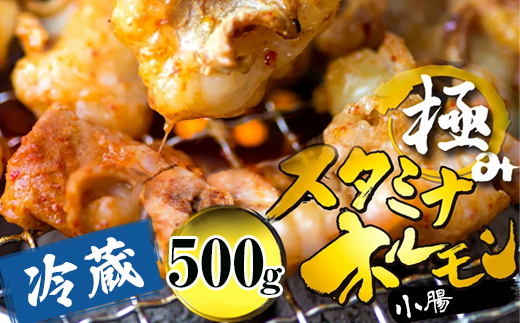 【タレ揉み】 極みの スタミナ ホルモン マルチョウ 500g 250×2袋 小分け タレ付き