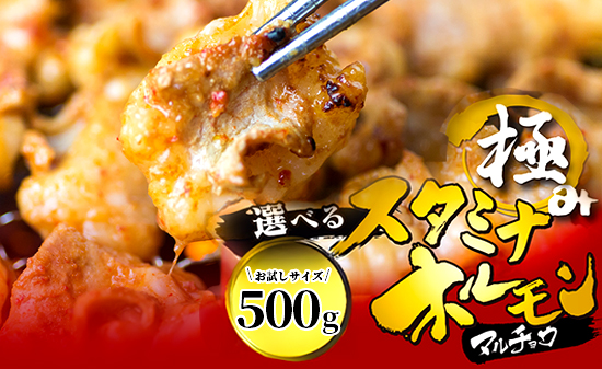 【タレ揉み】 極みの スタミナ ホルモン マルチョウ 500g 250×2袋 小分け タレ付き | ほるもん 牛肉 牛ホルモン モツ 丸腸 まるちょう 焼き肉 BBQ 味付け肉 キャンプ アウトドア 京都 舞鶴