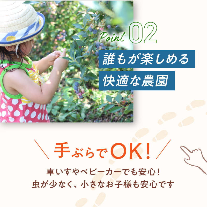【6月〜8月】 ブルーベリー狩り ペアチケット 【時間無制限・食べ放題】 | ブルーベリー 果物 フルーツ狩り 中学生以上 摘み取り 体験 チケット ペア 時間 無制限 食べ 放題 関西 京都 舞鶴