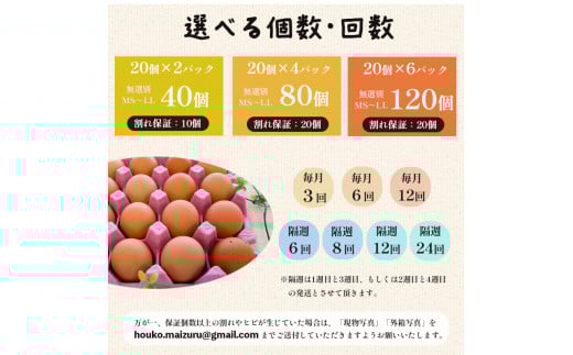 【定期便】毎月/１２回 卵 合計1440個 無選別 MS〜LL 京の贈り物 20個×6パック×12回 156,000円