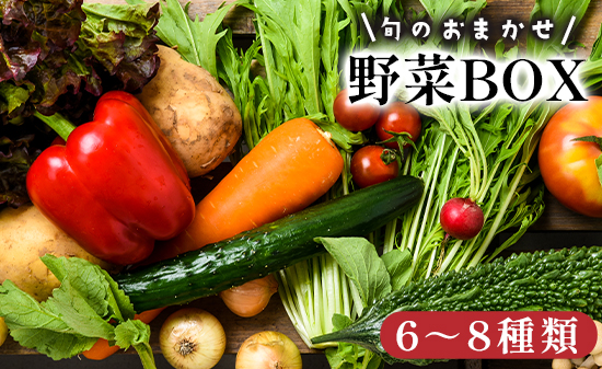 京都 舞鶴 季節の野菜BOX 詰め合せ セット 6～8種類 ： 季節の野菜 旬の野菜 旬野菜 新鮮 京野菜 食品 冷蔵 八百屋 厳選 産地直送 やさい ベジタブル ボックス 野菜セット