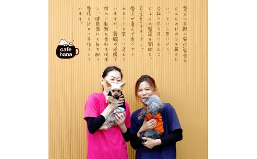 愛犬用 無添加 わんこスープ 3g×10袋 セット 舞鶴産 豆アジ使用 犬用スープ ペットフード ドッグフード 水分補給 手作り 犬 愛犬 犬用 京都 舞鶴 cafe hana