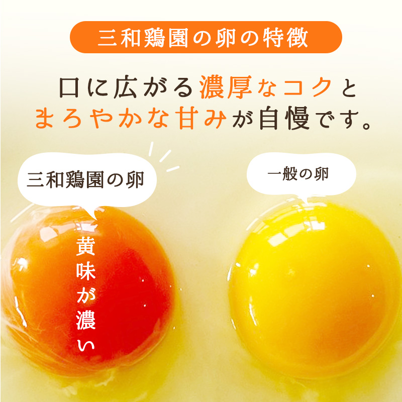 【定期便】毎月/１２回 卵 合計960個 無選別 MS〜LL 京の贈り物 20個×4パック×12回 120,000円
