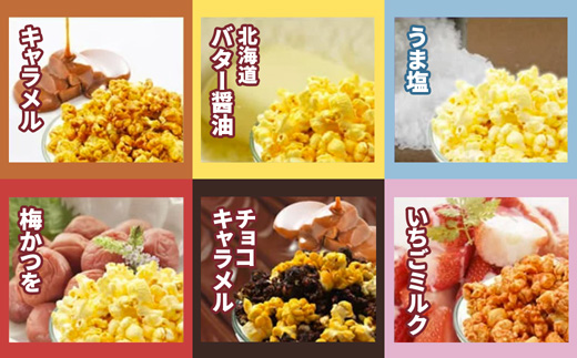 ジェリーズ ポップコーン 人気フレーバー 6個 詰め合わせ セット Mサイズ | ポップコーン 6個 6種類 キャラメル うま塩 バター醤油 梅かつを チョコキャラメル いちごミルク ハロウィン クリスマス バレンタイン 合成着色料不使用 おやつ スイーツ 冷やして美味しい カリカリ プレゼント 映画 差し入れ 贈り物 お菓子 手土産