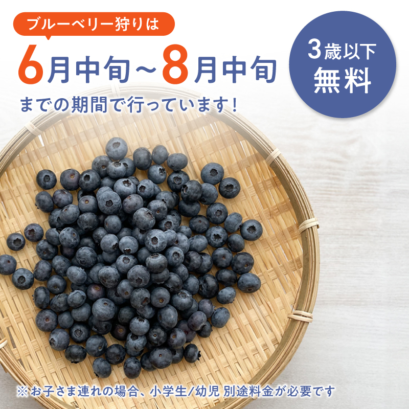 【6月〜8月】 ブルーベリー狩り ペアチケット 【時間無制限・食べ放題】 | ブルーベリー 果物 フルーツ狩り 中学生以上 摘み取り 体験 チケット ペア 時間 無制限 食べ 放題 関西 京都 舞鶴