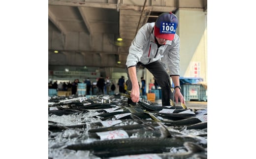 京鰆 西京漬け 2入×4パック熨斗 贈答 熨斗 御歳暮 お歳暮 ギフト さわら 味噌漬け 漬け魚 海鮮 海産物 加工品 おかず 冷凍 焼くだけ グルメ 京都 舞鶴    