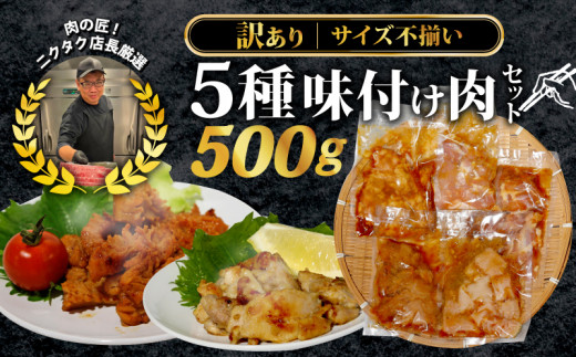 【訳あり】 味付け肉 5種類 セット 500g 特製つけだれ 味付け肉 漬け込み肉 お手軽焼肉 今夜の一品 焼くだけ てっちゃん みそ味 とりもも 塩だれ味 ミノ