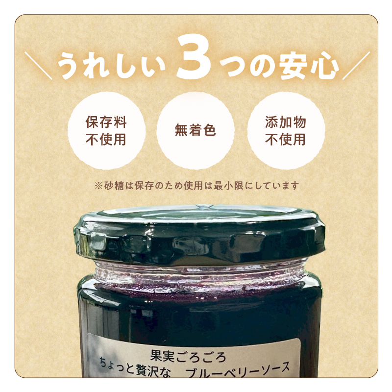 ブルーベリーソース 3本 国産 ブルーベリー ソース  保存料・着色料・添加物不使用 | ブルーベリージャム 3本セット  甘さ控えめ 保存料 着色料 添加物不使用 フルーツソース スイーツ ギフト お取り寄せ