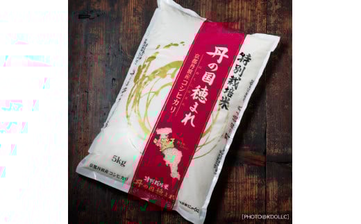 【定期便】特別栽培米 コシヒカリ 丹の国穂まれ 精米 5kg×3回 令和7年度産 15kg 京都府 中丹 舞鶴 綾部 福知山 こしひかり お米 白米 ご飯 米 主食 白ご飯 農協 JA