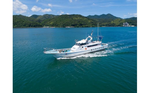 ç¡æ·»å ããããªã®ããããžã£ãŒããŒ5è¢ã»ãã ãããããŒã ãããããã€ ç¬ ç« ããã°ããŒã ãã£ããããŒã ãžã£ãŒã㌠å®å¿ å®å
š ããã ããŒã ãããçšå ãã¥ãŒãã³ã°ã¬ãŒã ã㬠ãã ç¬çš ç«çš é ãã¯ã ã飯 é€ ãšãµ ããã ã«ããã åç© ä¹Ÿç© éé£ ãè€çŸ èé¶Žåž äº¬éœåº