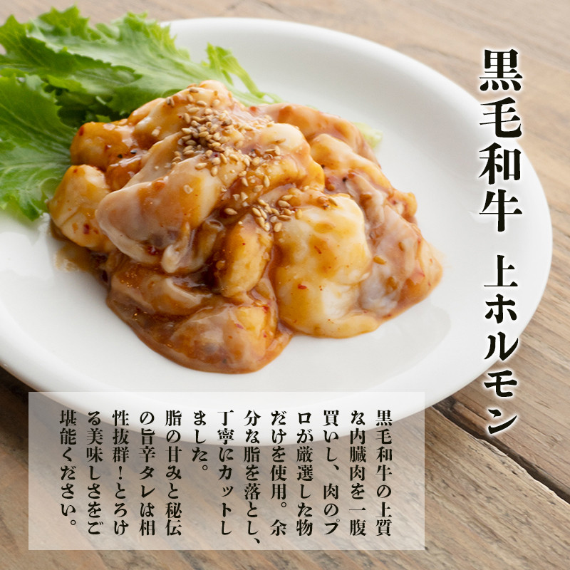 A5 黒毛和牛 焼肉用MIX ホルモン セット 600g