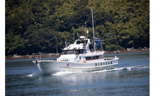 ç¡æ·»å ããããªã®ããããžã£ãŒããŒ3è¢ã»ãã ãããããŒã ãããããã€ ç¬ ç« ããã°ããŒã ãã£ããããŒã ãžã£ãŒã㌠å®å¿ å®å
š ããã ããŒã ãããçšå ãã¥ãŒãã³ã°ã¬ãŒã ã㬠ãã ç¬çš ç«çš é ãã¯ã ã飯 é€ ãšãµ ããã ã«ããã åç© ä¹Ÿç© éé£ ãè€çŸ èé¶Žåž äº¬éœåº