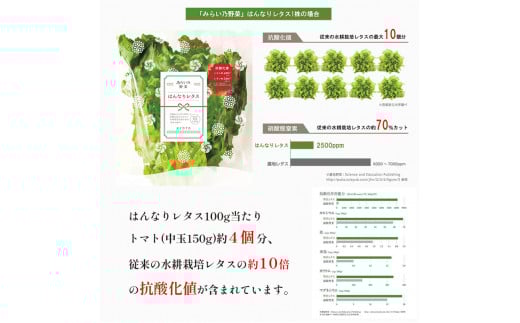 【 定期便 】 みらい乃野菜 はんなりレタス 12袋 720g 12回 120,000円