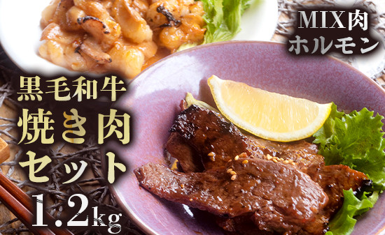 A5 黒毛和牛 焼肉用MIX ホルモン セット 1.2kg