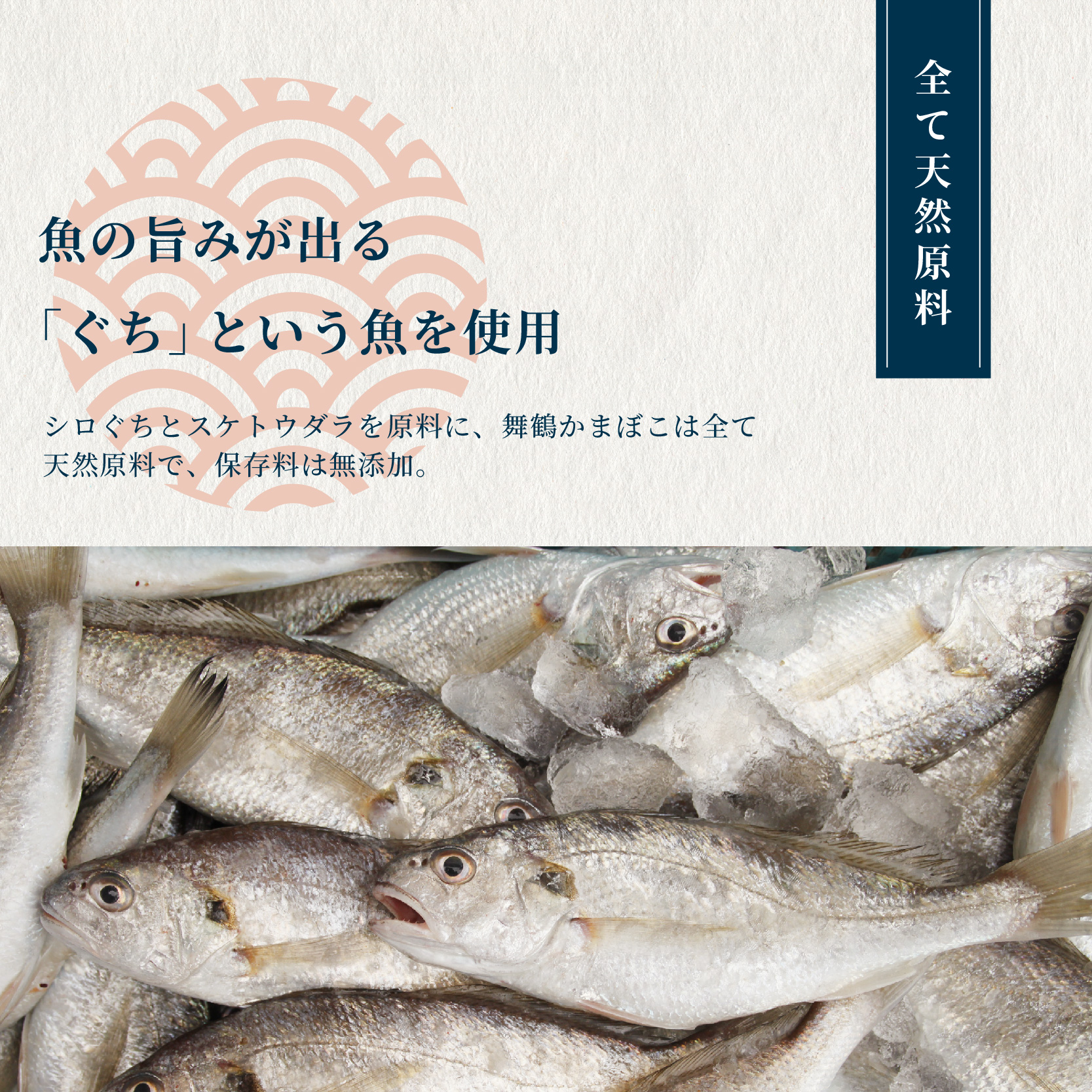 舞鶴ききかまぼこ 食べ比べセット 蒲鉾 かまぼこ カマボコ 塗り蒲鉾 焼き蒲鉾 5個 舞鶴蒲鉾 舞鶴かまぼこ 舞鶴名産 魚の街 国産 冷蔵 お取り寄せ グルメ 食べ比べ お節 お正月 年内発送 京都 舞鶴 舞鶴市 舞鶴かまぼこ協同組合