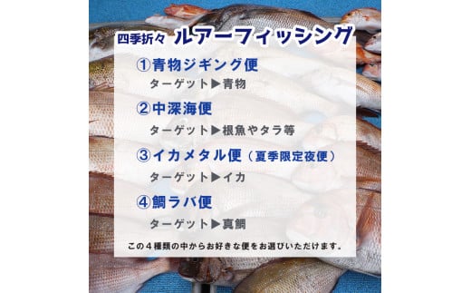 舞鶴で船釣り体験！ シーホーク １日乗船券 １名様 ルアーフィッシング 関西 日本海 京都府 舞鶴市 海 アウトドア 釣り フィッシング 船 釣り船 船釣り 体験