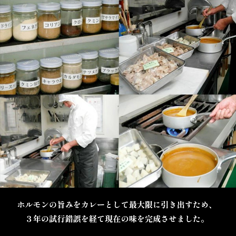 ホルモンカレー 10個 旧海軍レシピから作った舞鶴観光特選みやげ推奨品 レトルトカレー 肉カレー ビーフカレー ホルモン カレー ご当地カレー ご当地グルメ お土産 カレーライス 舞鶴カレー レトルト ヤシマニヤマ 八島丹山 贈答 熨斗 京都 舞鶴