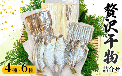旬の魚 干物セット 贅沢詰合せ 4種〜6種 日本海産 | 干物 高鮮度真空パック 冷凍 個包装 ギフト 贈答用 舞鶴 舞鶴市 京都