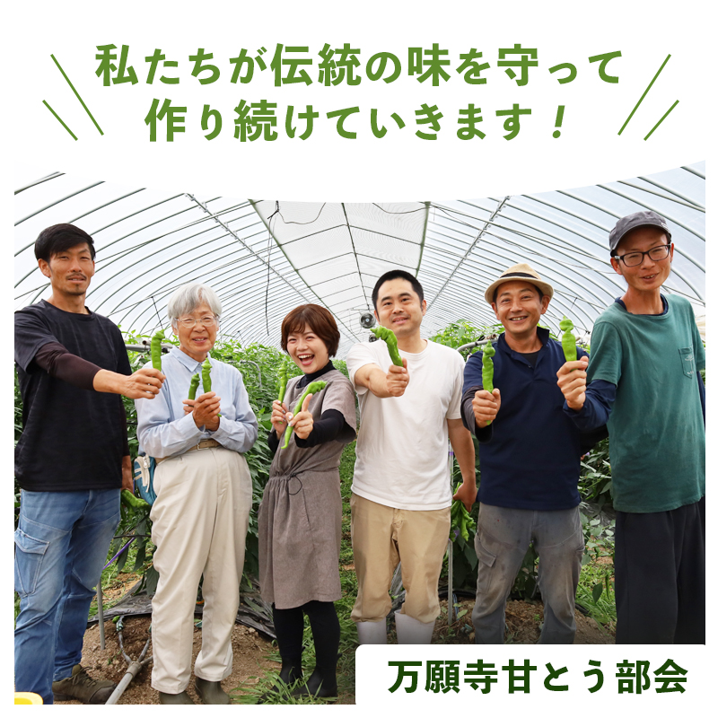 ãèš³ããã äžé¡å¯ºçãšã è¯å 2kg | 圢ã»é·ãäžæã èŸããªã京éè å€éå® å³èŠ èå ãžã¥ãŒã·ãŒ 京éœç£ æ¬ å£ç¯ã®éè è©°ãåãã 京ã®ãã©ã³ãç£å 京éè äžé¡å¯º ãŸãããã éè å€éè ãåç£ æåç£ JA äº¬éœ ç¶Ÿéš