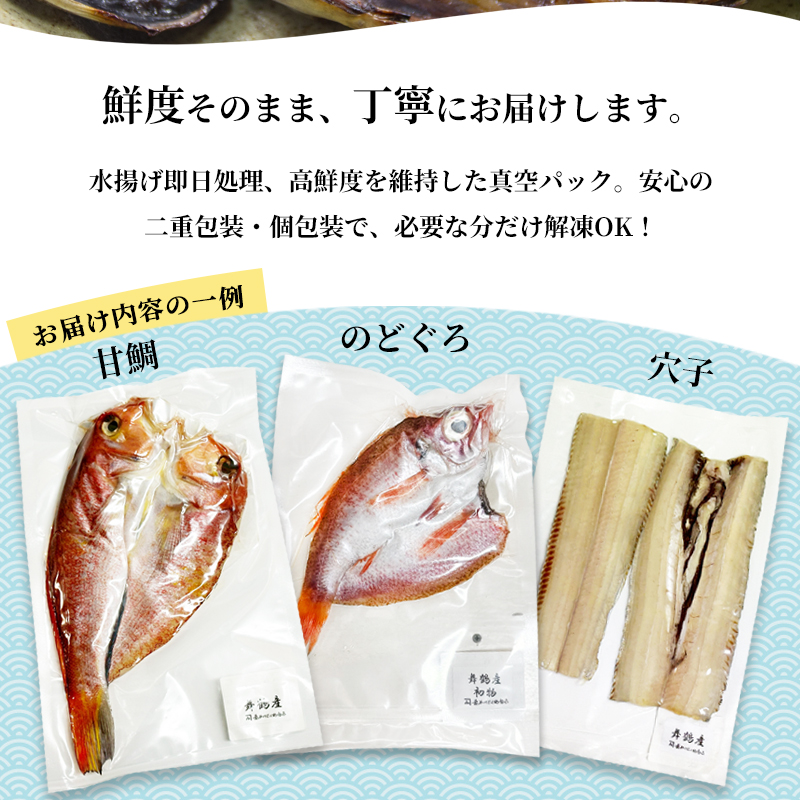 旬の魚 干物セット 贅沢詰合せ 6種〜8種 日本海産 | 干物  高鮮度真空パック 冷凍 個包装 ギフト 贈答用 舞鶴 舞鶴市 京都