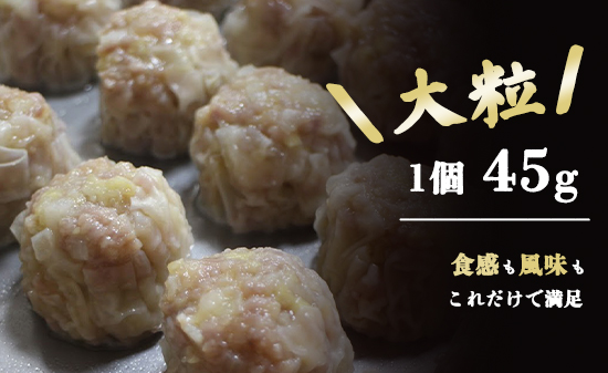 シュウマイ 焼売 みつる食堂 復刻 大粒 ジューシー 8個 1粒45g プレーン おかず 京都 舞鶴 