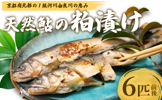 天然鮎の粕漬け 6匹 【 由良川漁協 あゆ 鮎 アユ 魚 魚介 川魚 海鮮 漬け魚 粕漬け 酒粕 天然 大人 贅沢 おつまみ 酒の肴 珍味 舞鶴 京都 】