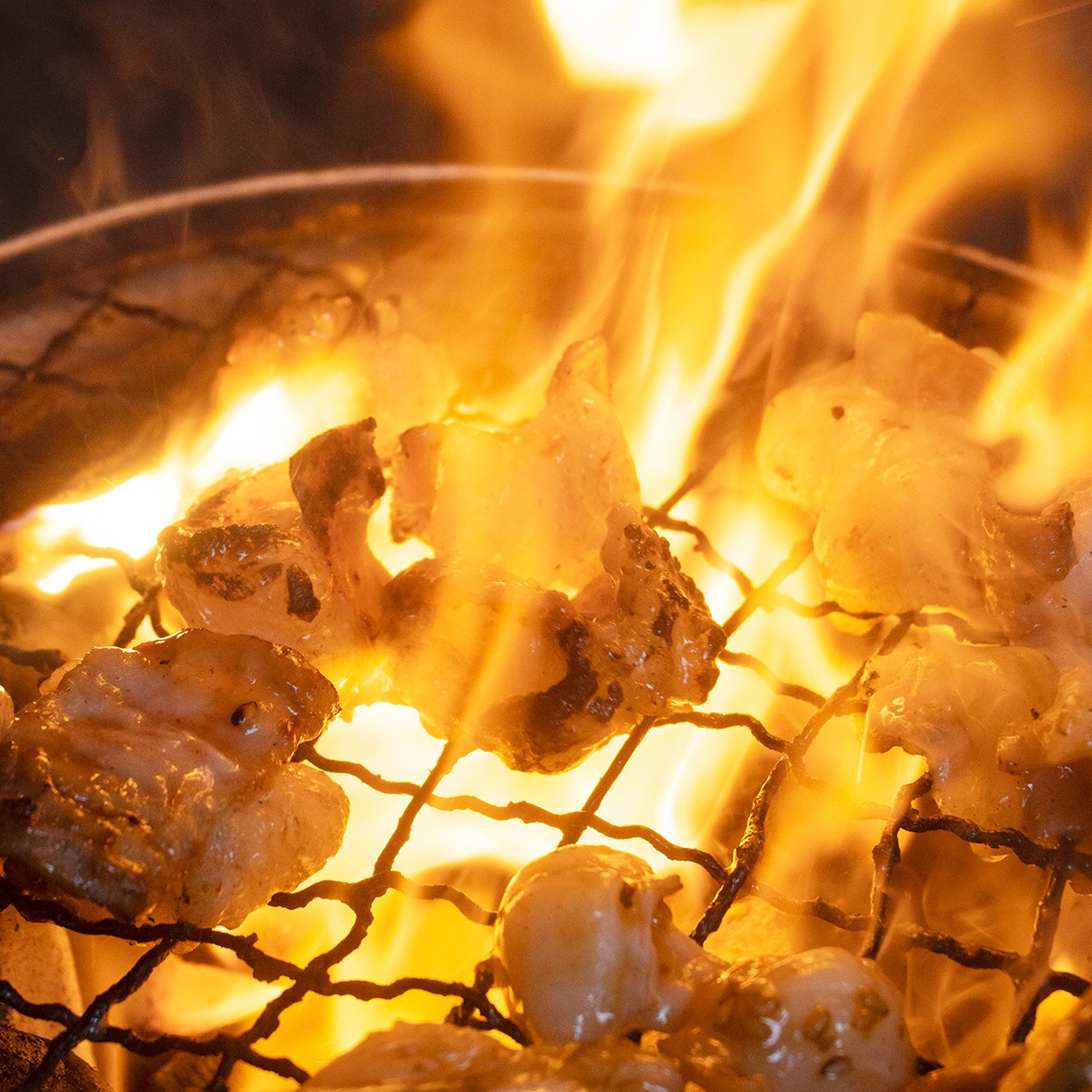 黒毛和牛 ホルモン 600g 