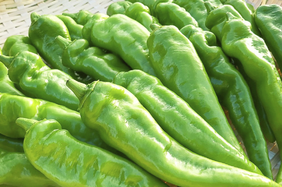 ç¹ç£åã®çç£æ¯èåã³è²©è·¯æ¡å€§