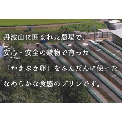 丹波奥里の卵を使ったプリン8個セット 結鶴プリン(プレーン・ほうじ茶・地酒・丹波梅 各2個)【配送不可地域：離島・北海道・沖縄県】【1396817】