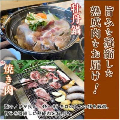 猪肉スライス(猪ロース、猪バラ肉、猪モモ肉、肩肉)ミックス合計300g (約2人前)【配送不可地域：離島】【1603587】