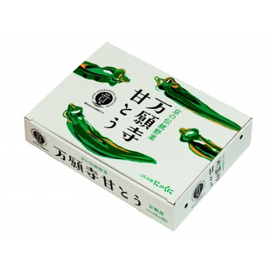 甘い!美味い!辛くない!京のブランド産品「万願寺甘とう」 1kg【配送不可地域：離島】【1483932】