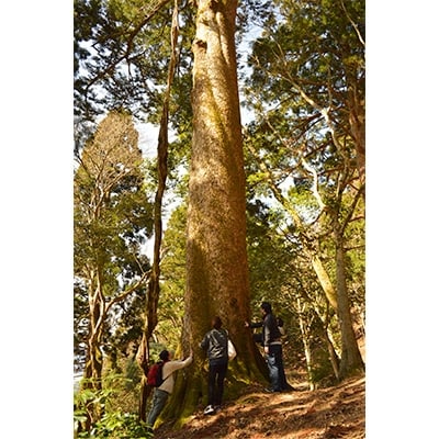農家民宿『里山ゲストハウス　クチュール』宿泊1名様分+2食(共同調理)+ハイキングガイド(約5時間)【1090643】