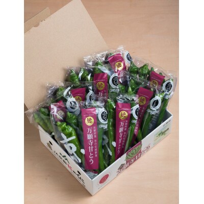 甘い!美味い!辛くない!京のブランド産品「万願寺甘とう」化粧箱(150g×8袋)【配送不可地域：離島・沖縄県】【1293438】