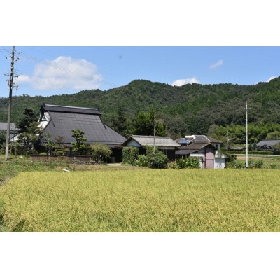 〜栽培期間中 稲穂に農薬不使用〜京都のお米  令和7年産コシヒカリ5kg【精米】【1674695】
