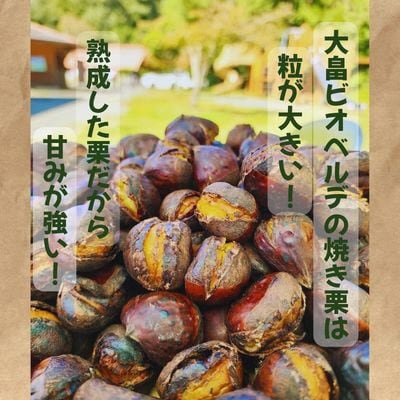 京éœåºç¶Ÿéšç£ 䞹波çŒãæ 1kg(200gÃ5ããã¯) èªç¶ãªçã¿ãšéŠã°ãã å·åå°åãç空ããã¯ãé
éäžå¯å°åïŒé¢å³¶ãã1733645ã