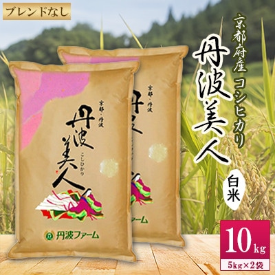 【令和7年産】京都府産コシヒカリ　丹波美人(白米)5kg×2袋【1089656】