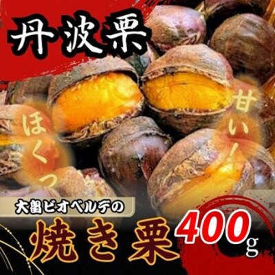 京éœåºç¶Ÿéšç£ 䞹波æ çŒãæ èš400gãé
éäžå¯å°åïŒé¢å³¶ãã1733646ã
