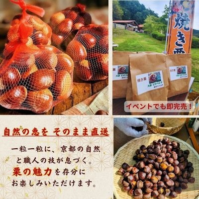 京éœåºç¶Ÿéšç£ 䞹波æ çŒãæ èš400gãé
éäžå¯å°åïŒé¢å³¶ãã1733646ã