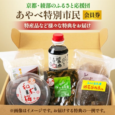 京都・綾部のふるさと応援団「あやべ特別市民」会員券【1091308】