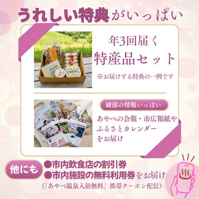 京éœã»ç¶Ÿéšã®ãµãããšå¿æŽå£ãããã¹ç¹å¥åžæ°ãäŒå¡åžã1091308ã
