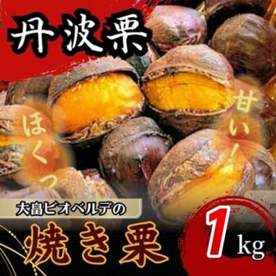 京都府綾部産 丹波焼き栗 1kg(200g×5パック) 自然な甘みと香ばしさ 冷凍小分け真空パック【配送不可地域：離島】【1733645】